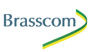 Brasscom - Associação Brasileira das Empresas de Tecnologia da Informação e Comunicação, representada por Mariana Oliveira;
