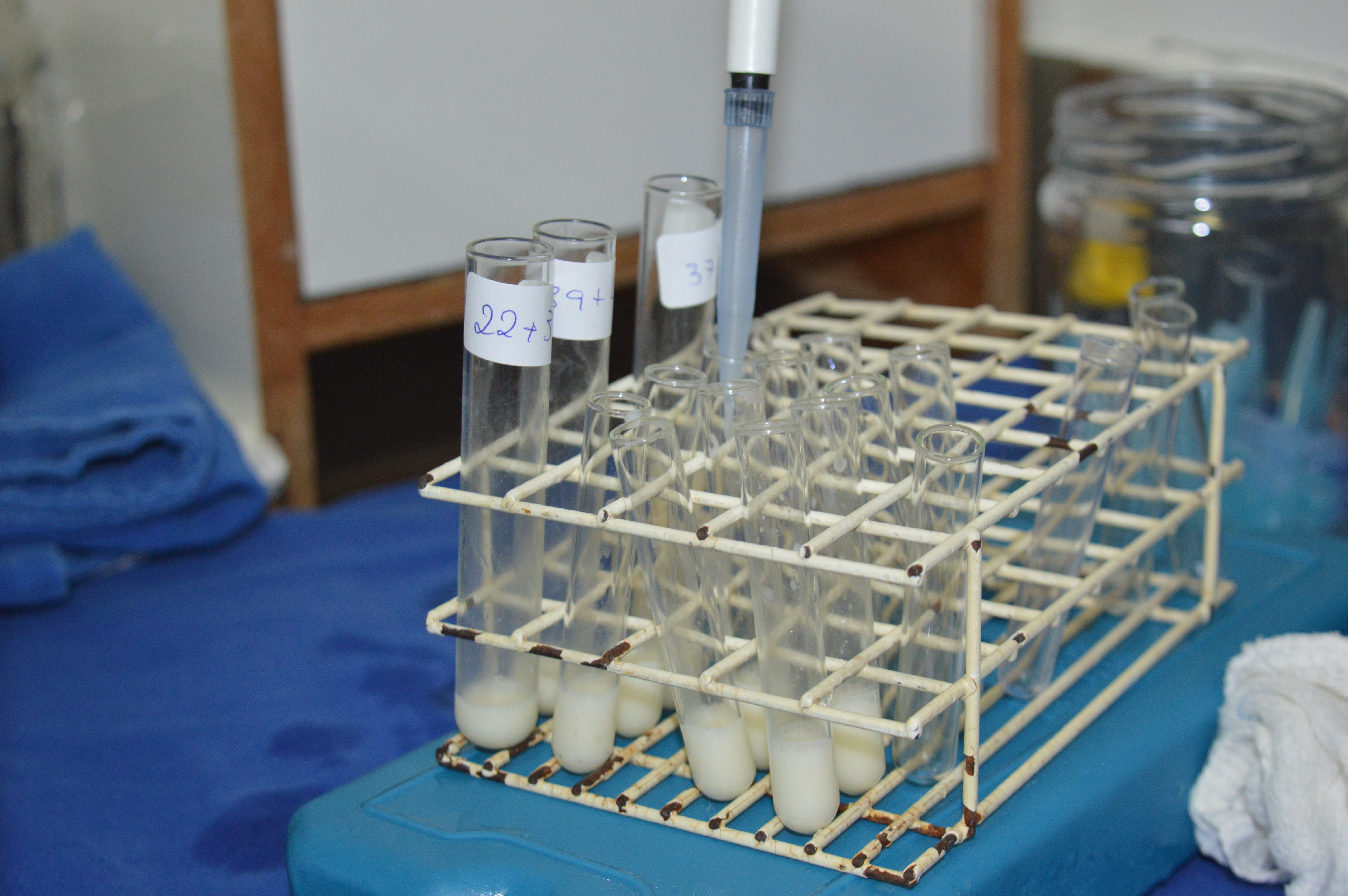 fração retirada dos frascos para verificar acidez e valor nutricional do leite