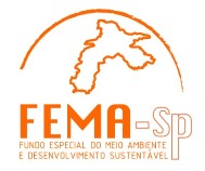 logo FEMA