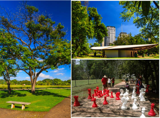 Um grande jogo de xadrez é montado em um parque.