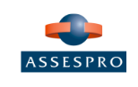 ASSESPRO, Associação das Empresas Brasileiras de Tecnologia da Informação, representada por Ricardo Theil;