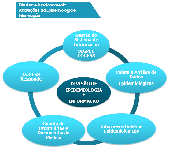 Imagem sobre a Estrutura e Funcionamento com as  Atribuições da Epidemiologia e Informação/ Divisão de Epidemiologia e Informação – Gestão do Sistema de Informação SIGPEC/ COGESS; Coleta e Análise de Dados Epidemiológicos; Informes e Boletins Epidemiológicos; Guarda de Prontuários e Documentação Médica e COGESS Responde.