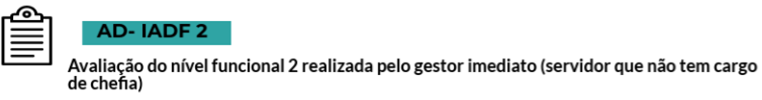 Avaliação do nível funcional 2 realizada pelo gestor imediato