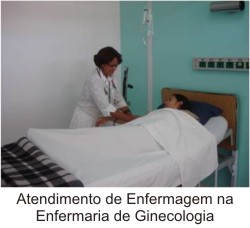 ginecologia