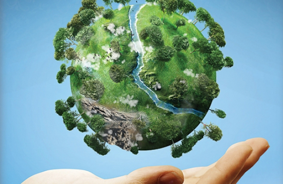 real situação ambiental