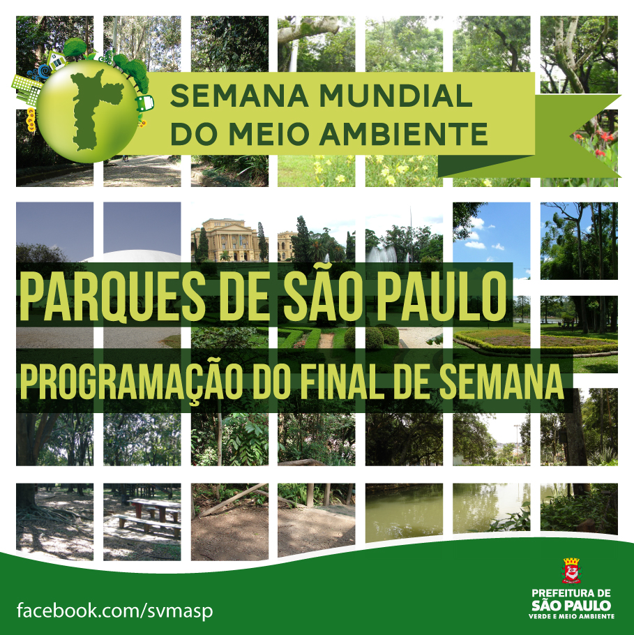 Parque Leopoldina Orlando Villas-Bôas recebe Seleção Brasileira de Futebol  Americano neste final de Semana