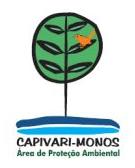 APA Capivari Monos