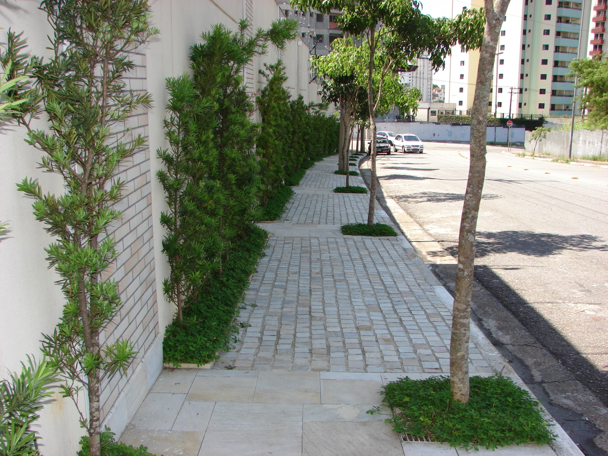 Foto de calçada com arbustos a esquerda
