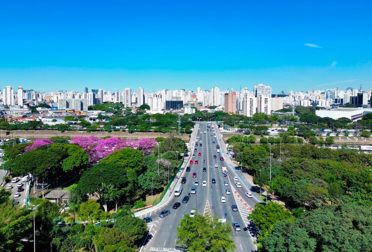 Imagem da notícia