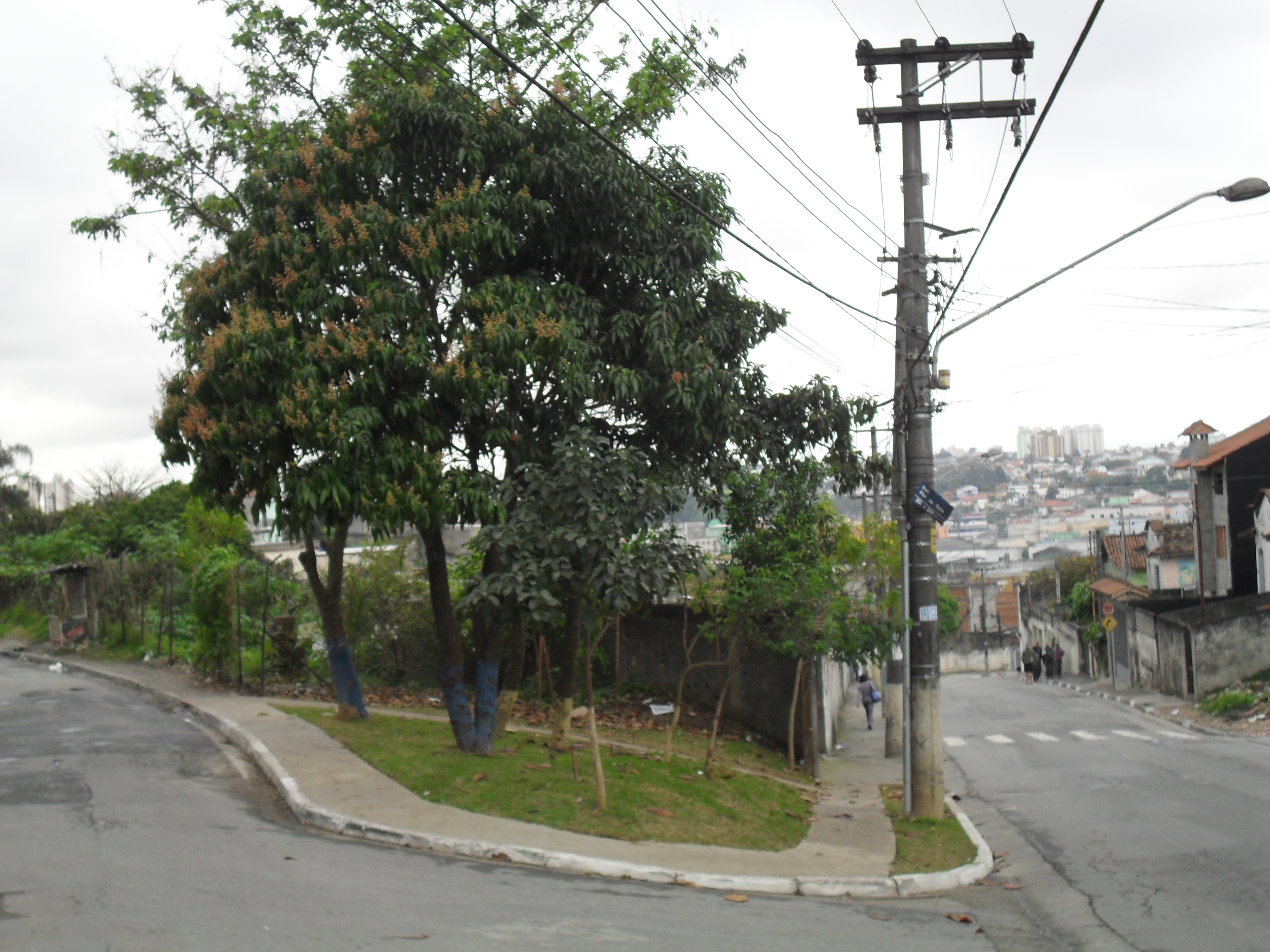 Vila Nova Galvão e Parque das Pedras | Subprefeitura Jaçanã Tremembé |  Prefeitura da Cidade de São Paulo