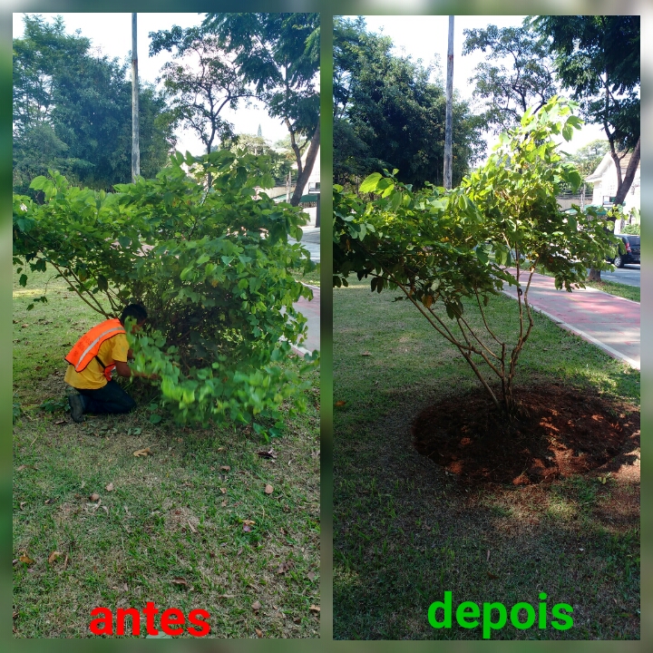 Duas imagens de área ajardinada com trabalhador com colete laranja e texto sobre a foto escrito antes e depois em vermelho 