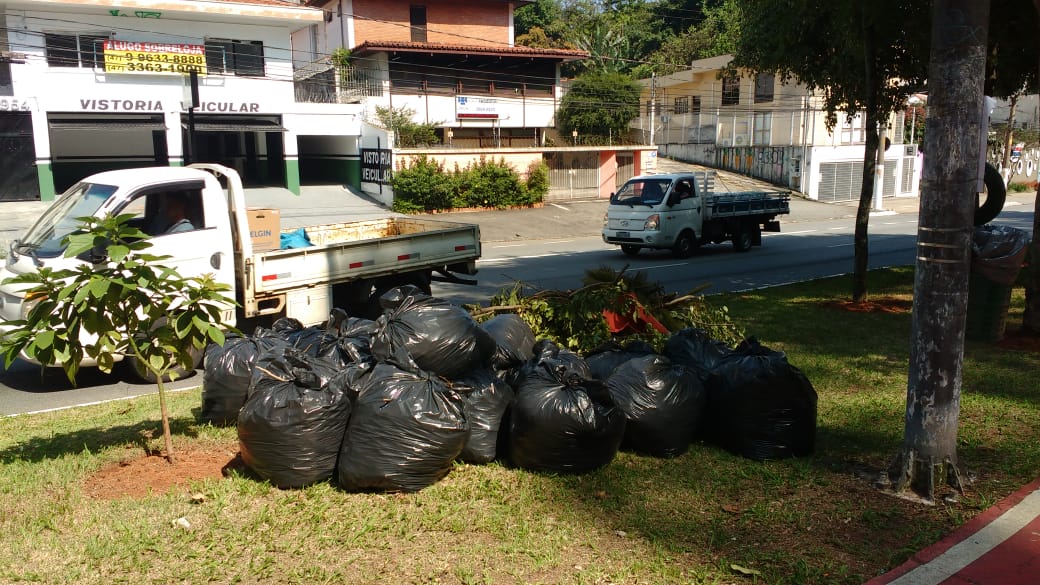 Canteiro com destaque para sacos de lixos pretos com resíduos de jardim dentro e caminhão pequeno o fundo