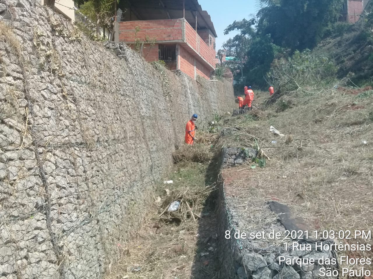 Cinco trabalhadores com uniforme laranja cortam o mato em um canal de córrego canalizado com pedra em grade de tela