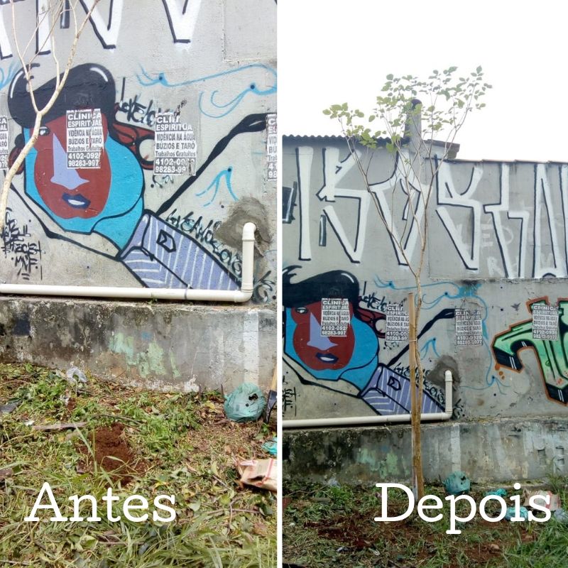 Antes e depois da poda de ipê na rua Dom Antônio Alvarenga