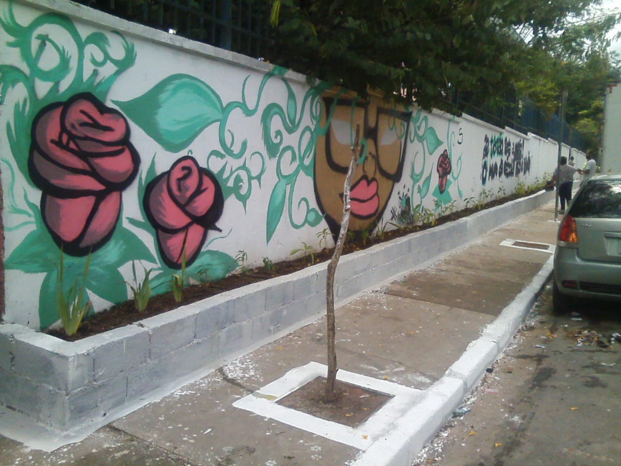 Imagem do pós revitalização. A esquerda da imagem o muro apresenta um grafite com rosas pintadas, folhas verdes e uma mulher negra de óculos e batom rosa. A calçada está limpa e livre para o tráfego, há também plantação de muda de árvore.
