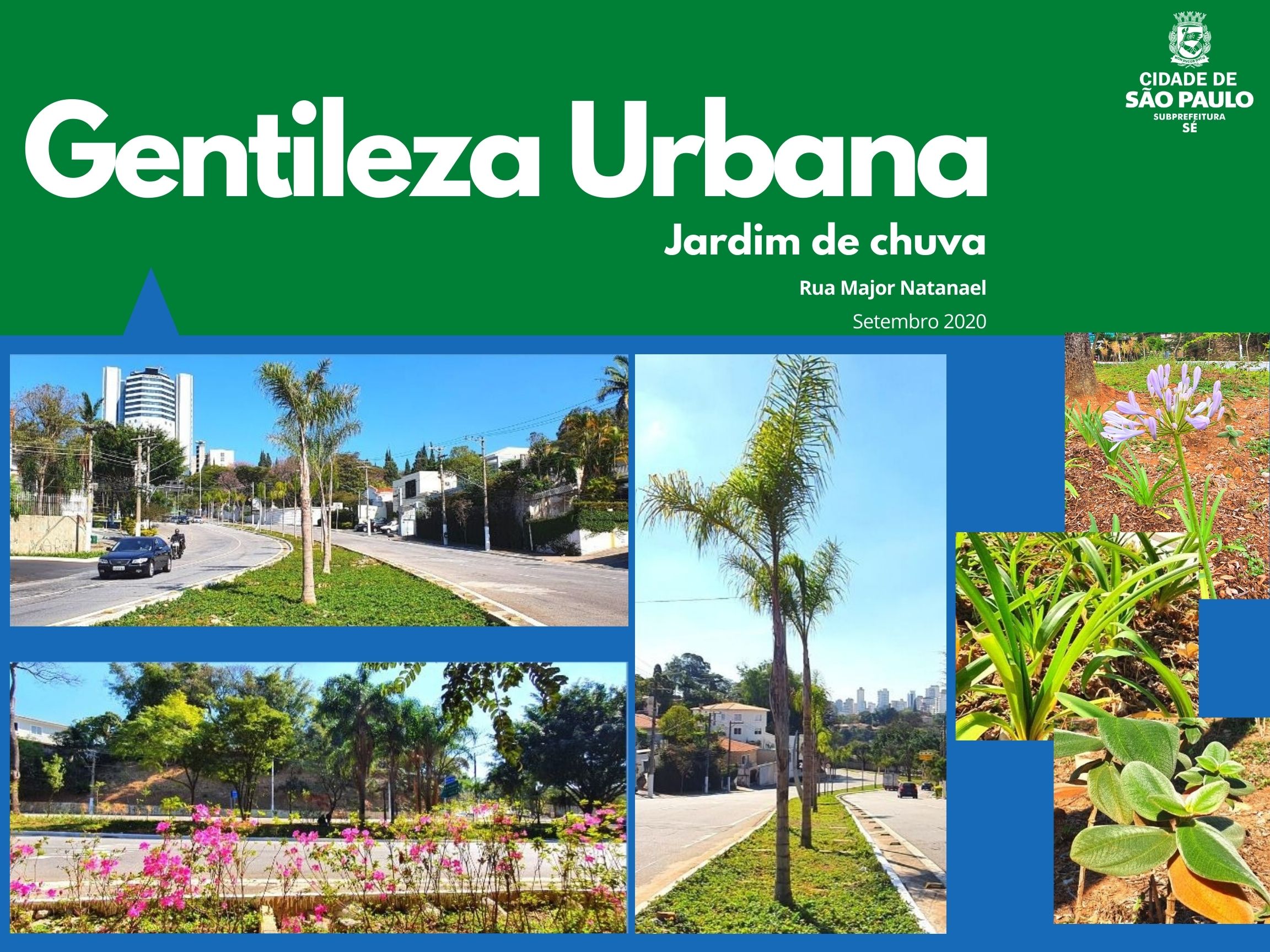 Arte escrito Gentileza Urbana com o logotipo da subprefeitura Sé mostra fotos de detalhes e flores do jardim de chuva da rua major natanel