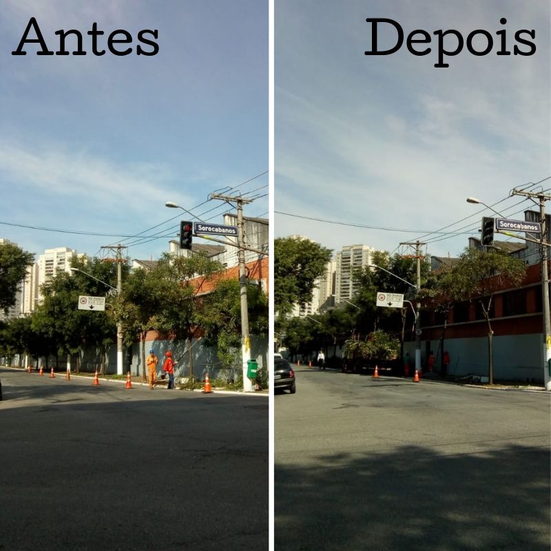 Antes e depois da poda de árvores na rua Silva Bueno