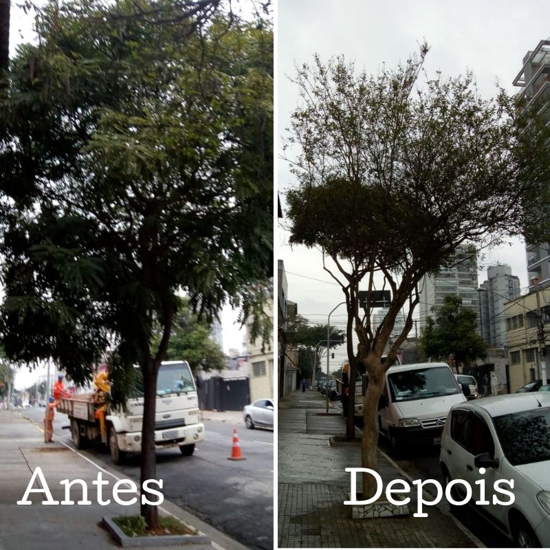 Antes e depois da pode de árvore na rua Lino Coutinho