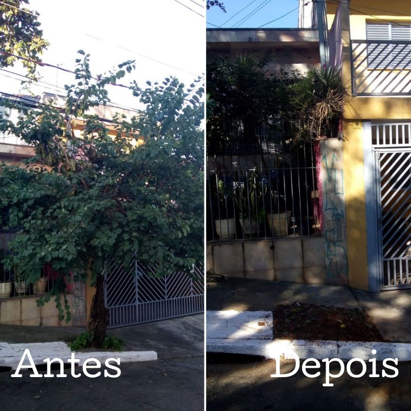 Antes e depois da remoção de uma árvore na rua Anatole France