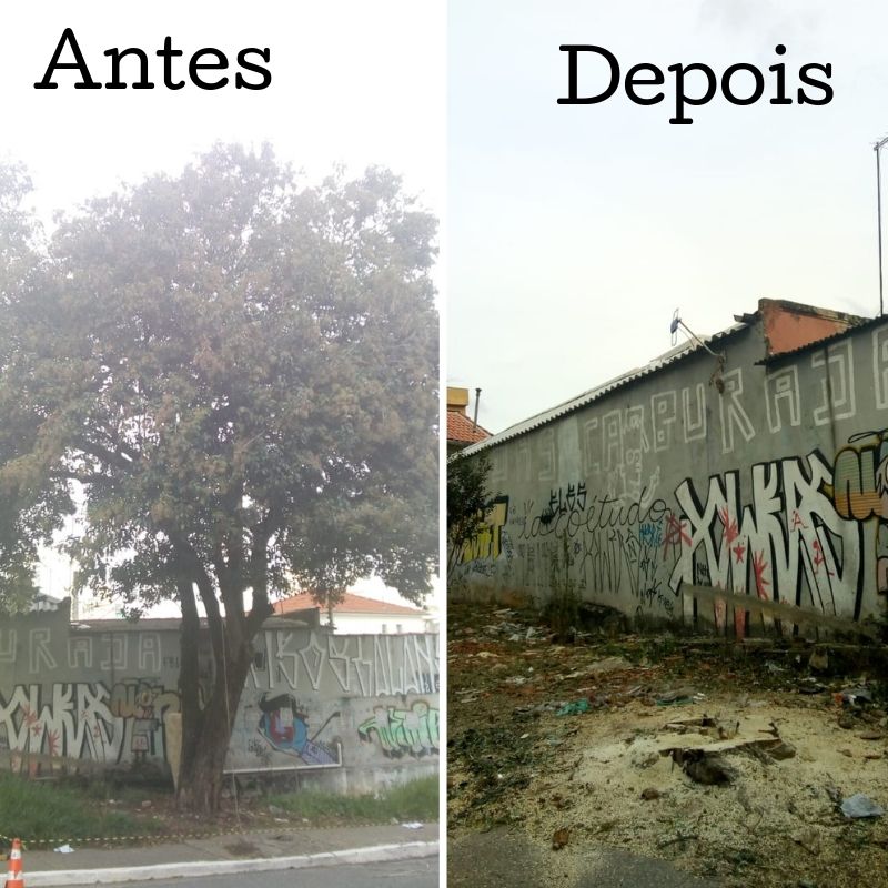 Antes e depois da remoção de árvore na rua Dom Antônio Alvarenga