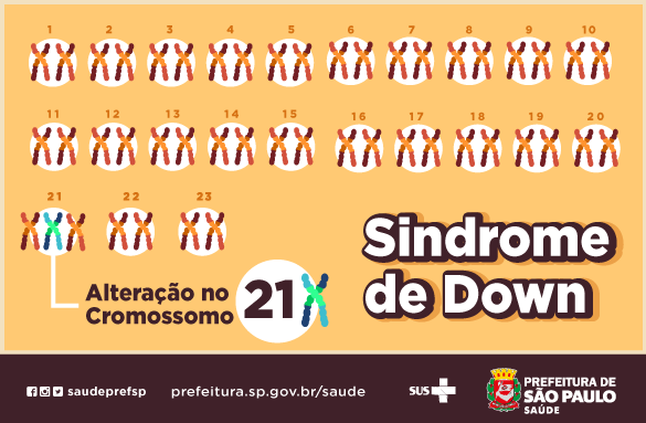 A imagem possui um fundo laranja claro com vinte três cromossomos, sendo o cromossomo de número vinte e um possuindo uma alteração, o que configura a Síndrome de Down