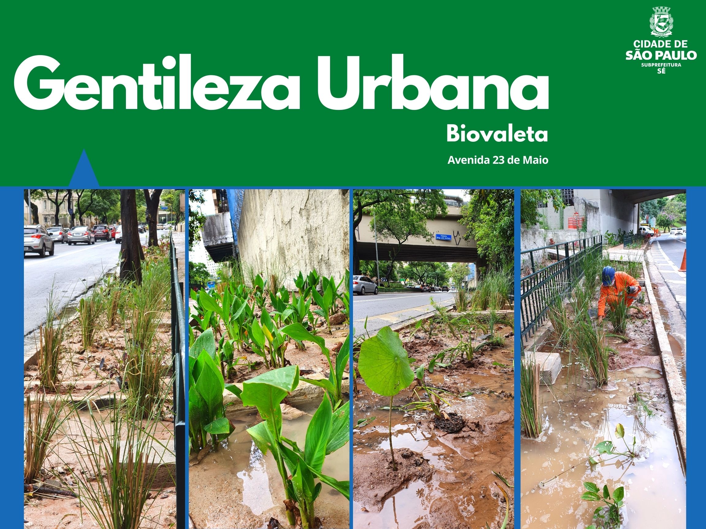 Arte escrito Gentileza Urbana com o logotipo da subprefeitura Sé mostra quatro fotos da biovaleta com plantas na água