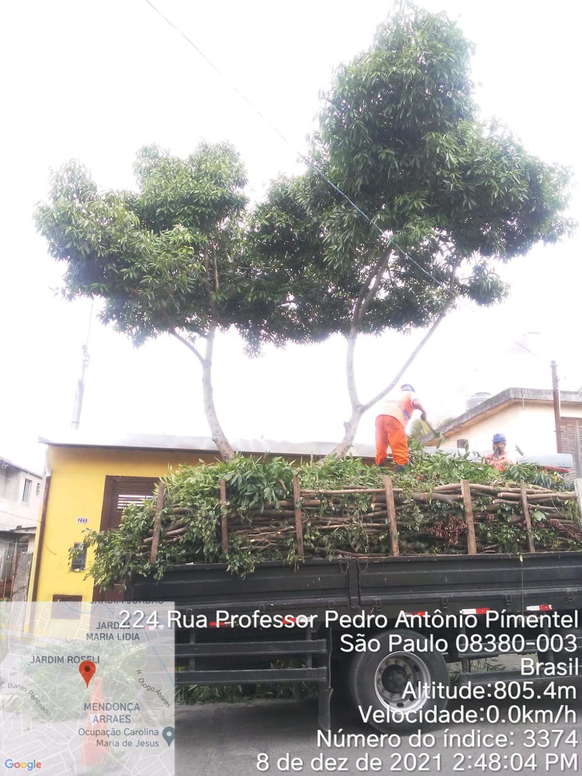 Um caminhão está com a caçamba cheia de galhos cortados, em frente a uma casa amarela, com uma árvore à frente. 