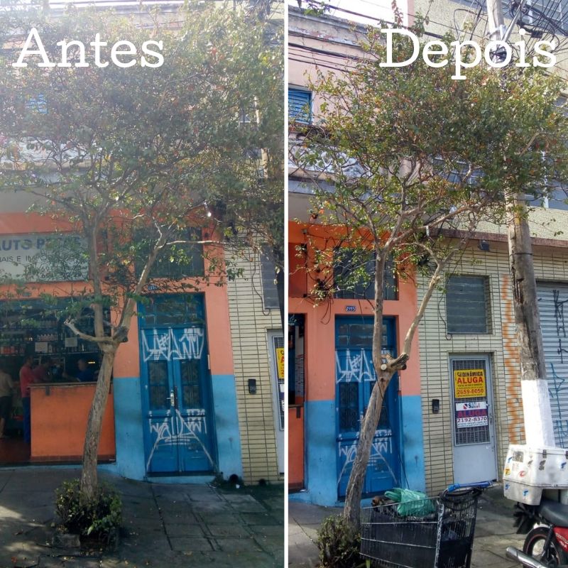 Antes e depois da poda de árvore na rua do Manifesto