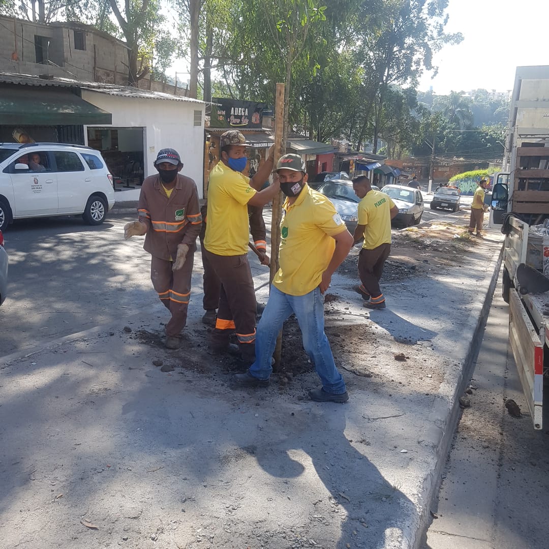 Voluntários ajudam os funcionários da Subprefeitura São Mateus a plantar as mudas de árvores, cavando buracos e jogando terra no pé da planta. 
