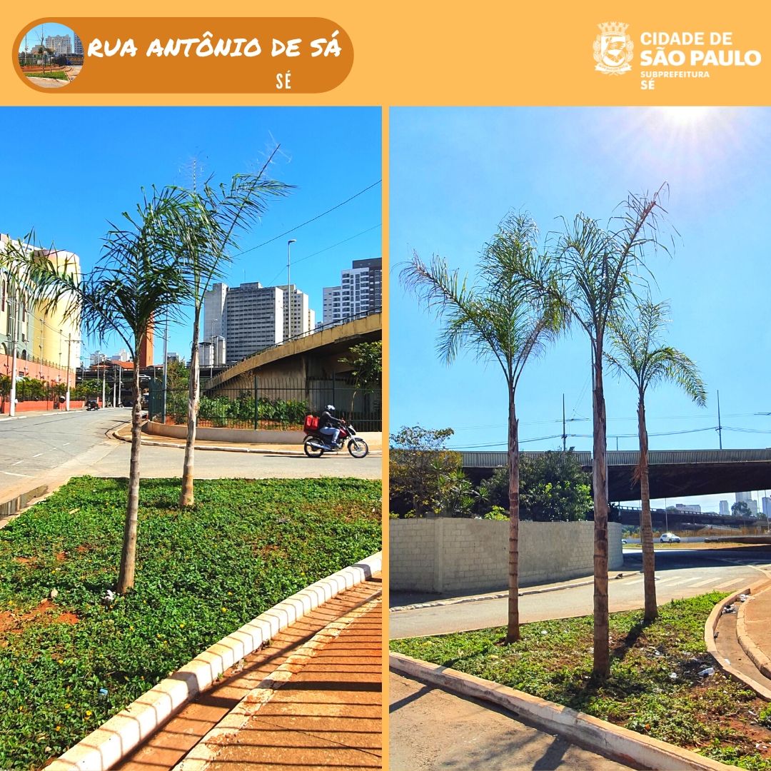 Arte com fotos dos jardins da Rua Antônio de Sá