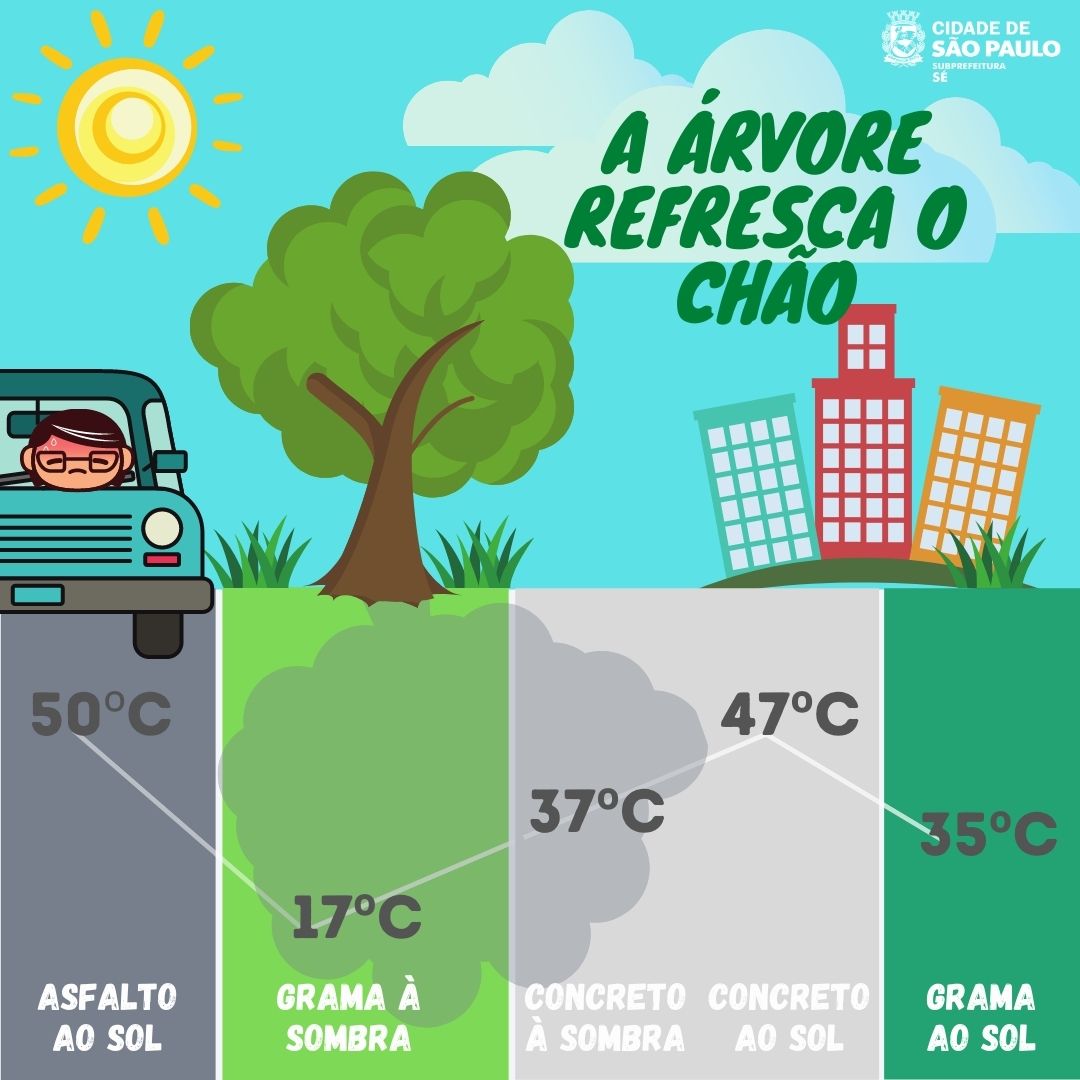 Ilustração com gráfico das temperaturas do asfalto e da sombra da árvore escrito: a árvore refresca o chão