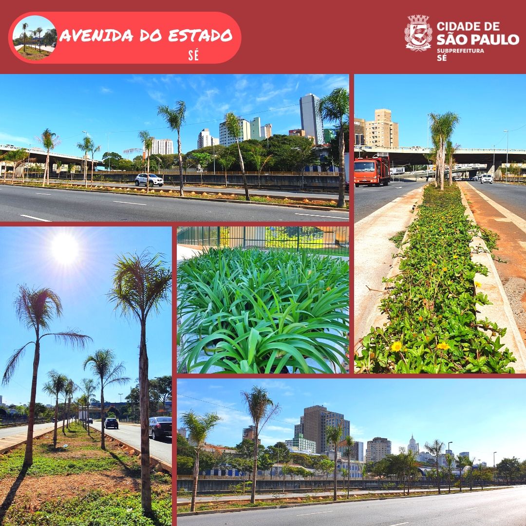 Fotos dos jardins da Avenida do Estado