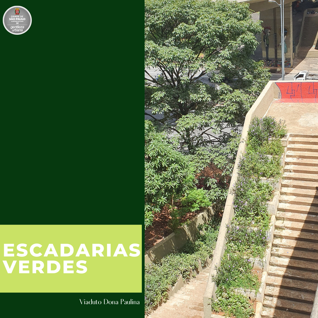 Arte com fundo verde e escrito escadarias verdes com destaque para a escadaria do viaduto dona paulina