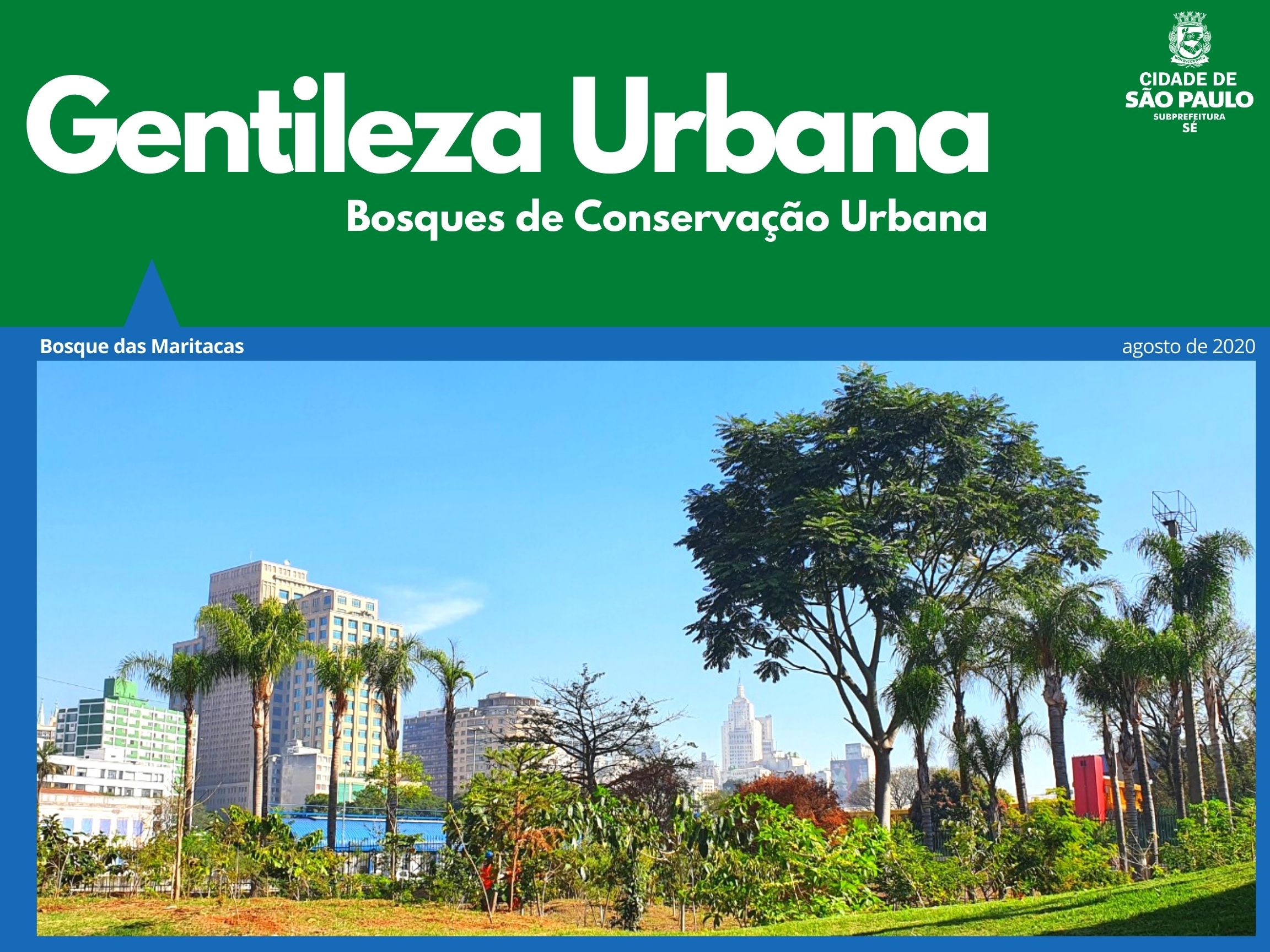 Arte escrito Gentileza Urbana com o logotipo da subprefeitura Sé mostra foto do bosque das maritacas e ao fundo o o prédio do Santander