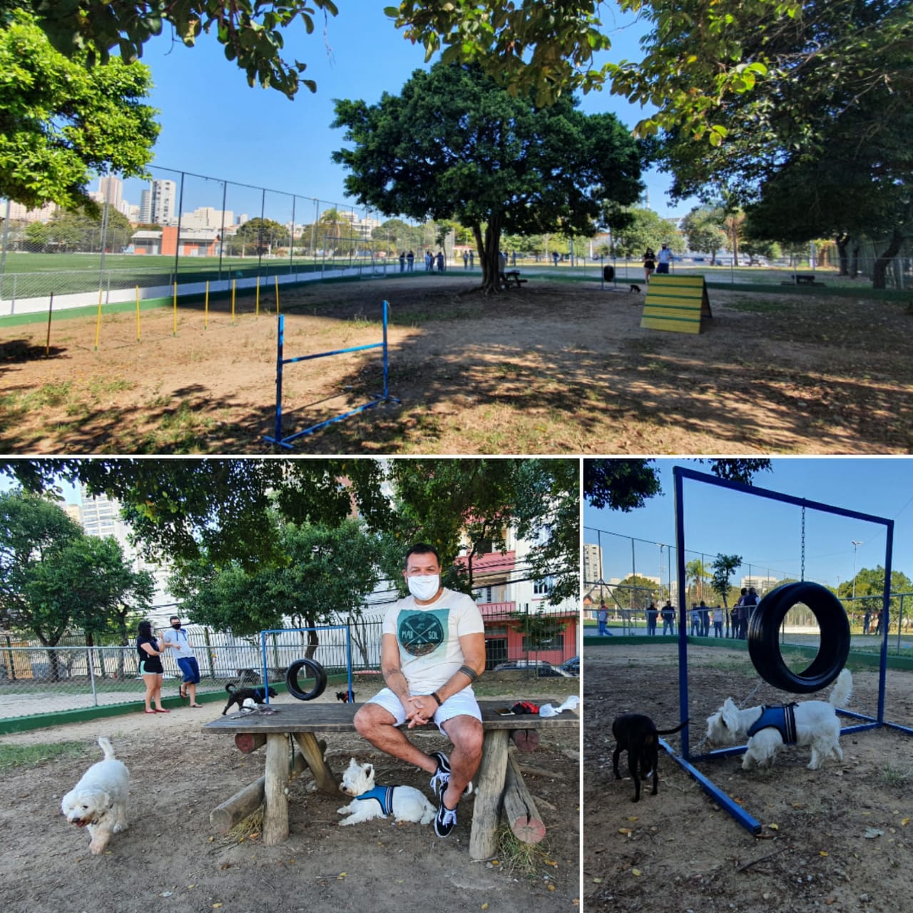 montagem de foto do espaço pet onde há um homem e cães