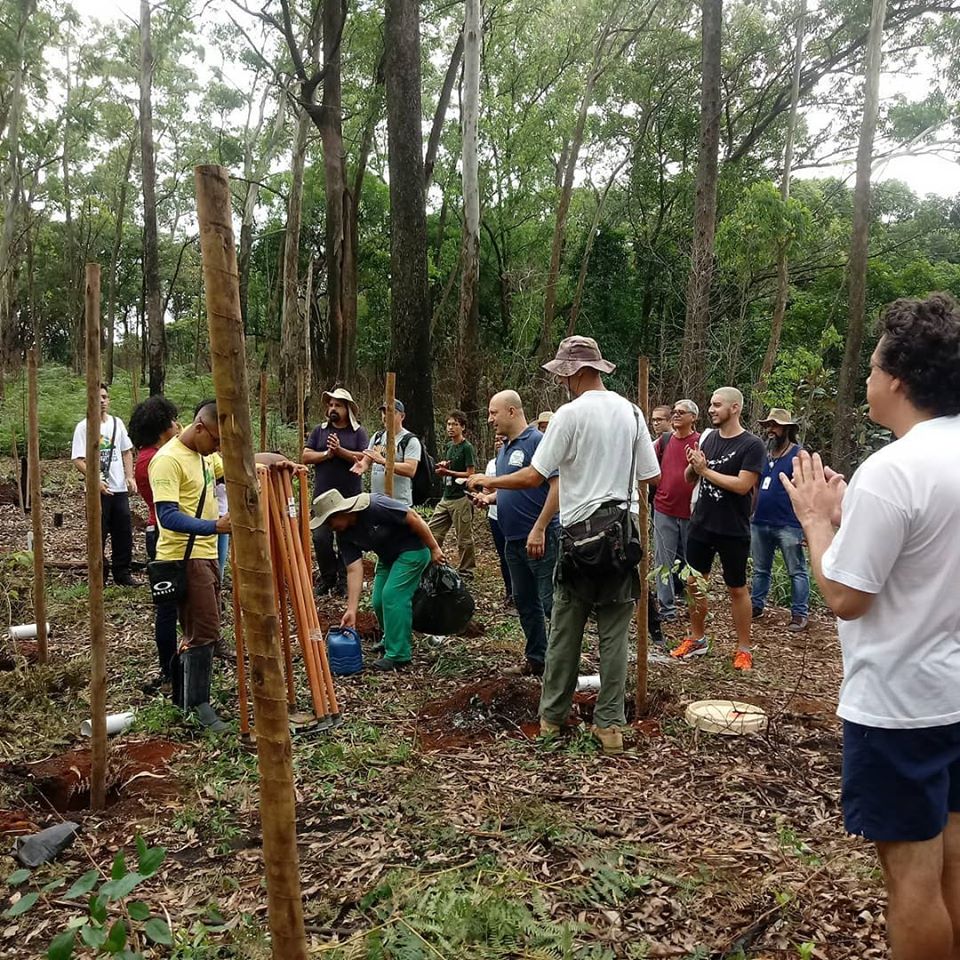 Ambientalistas plantam mudas de árvore em área dentro da Fazenda do Carmo, ao ar livre.