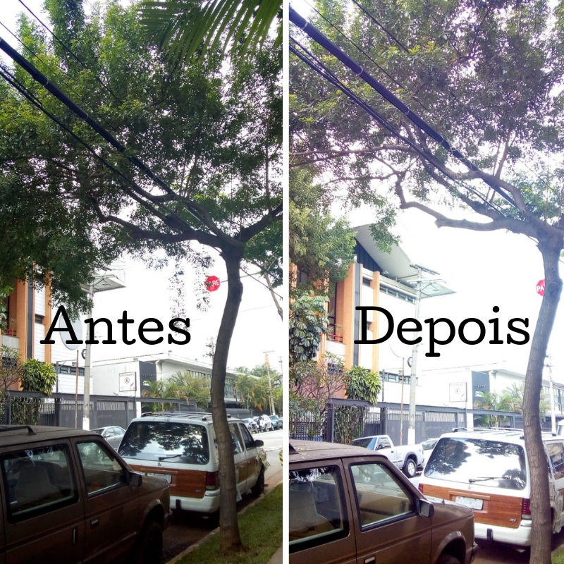 Foto do antes: Árvore na rua do Manifesto com galhos presos nos fios de eletricidade. Foto do depois: Árvore podada na rua do Manifesto