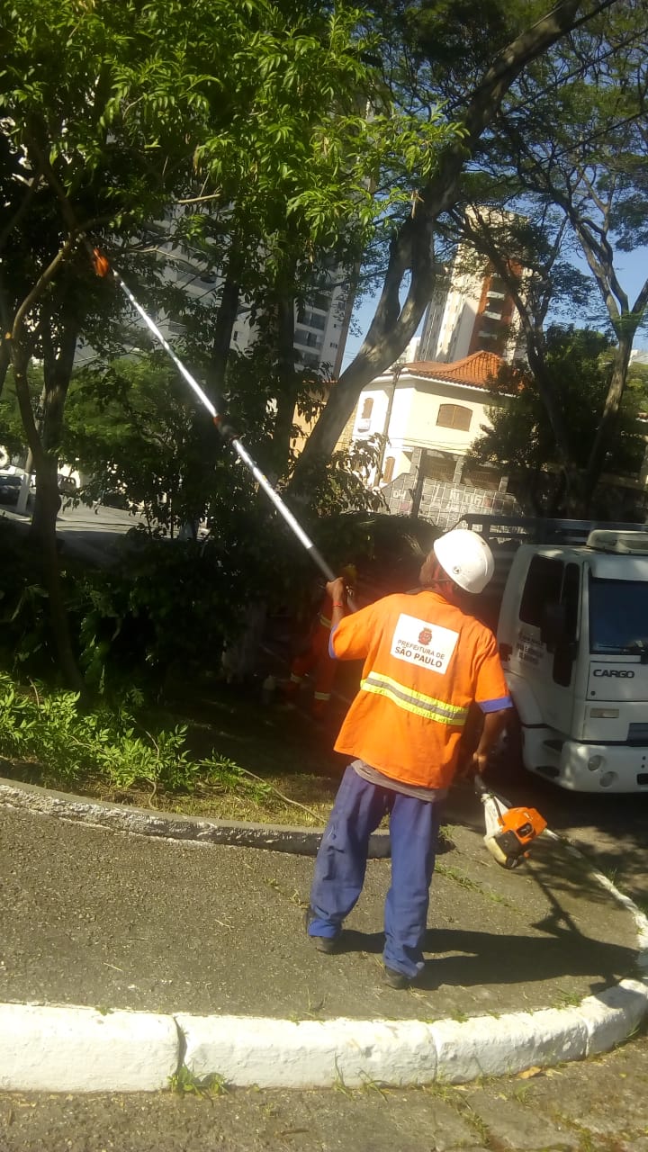 Visualiza-se uma árvore sendo podada pelas equipes. Um funcionário, com o uniforme da cor laranja, utiliza um instrumento próprio para podas e o segura em direção à árvore