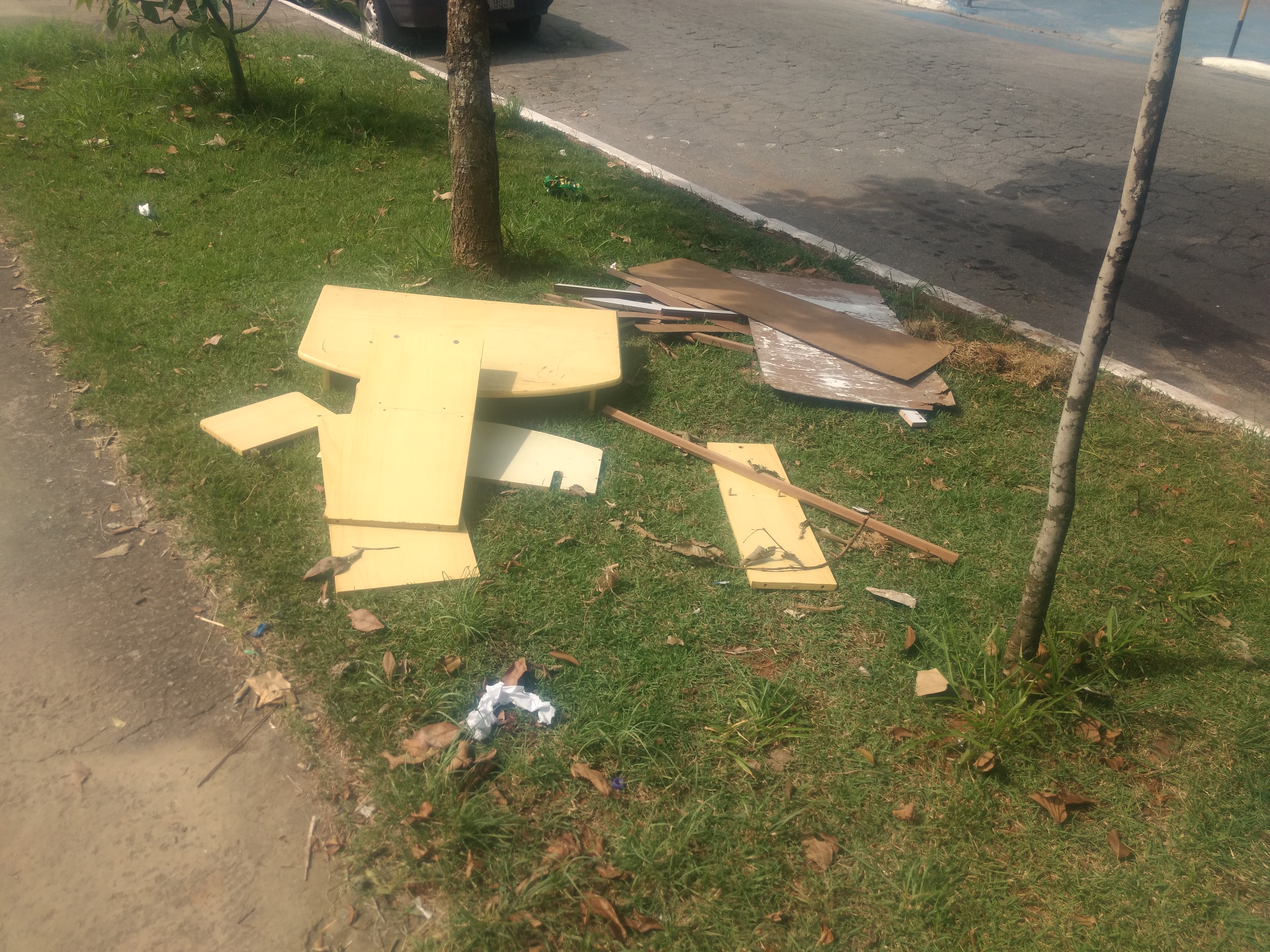 Pedaços de uma mesa de computador foram jogados no gramado do canteiro central de uma rua. Outras placas finas de madeira também foram lançadas no local. Entre a sujeira, dois troncos de árvores novas.