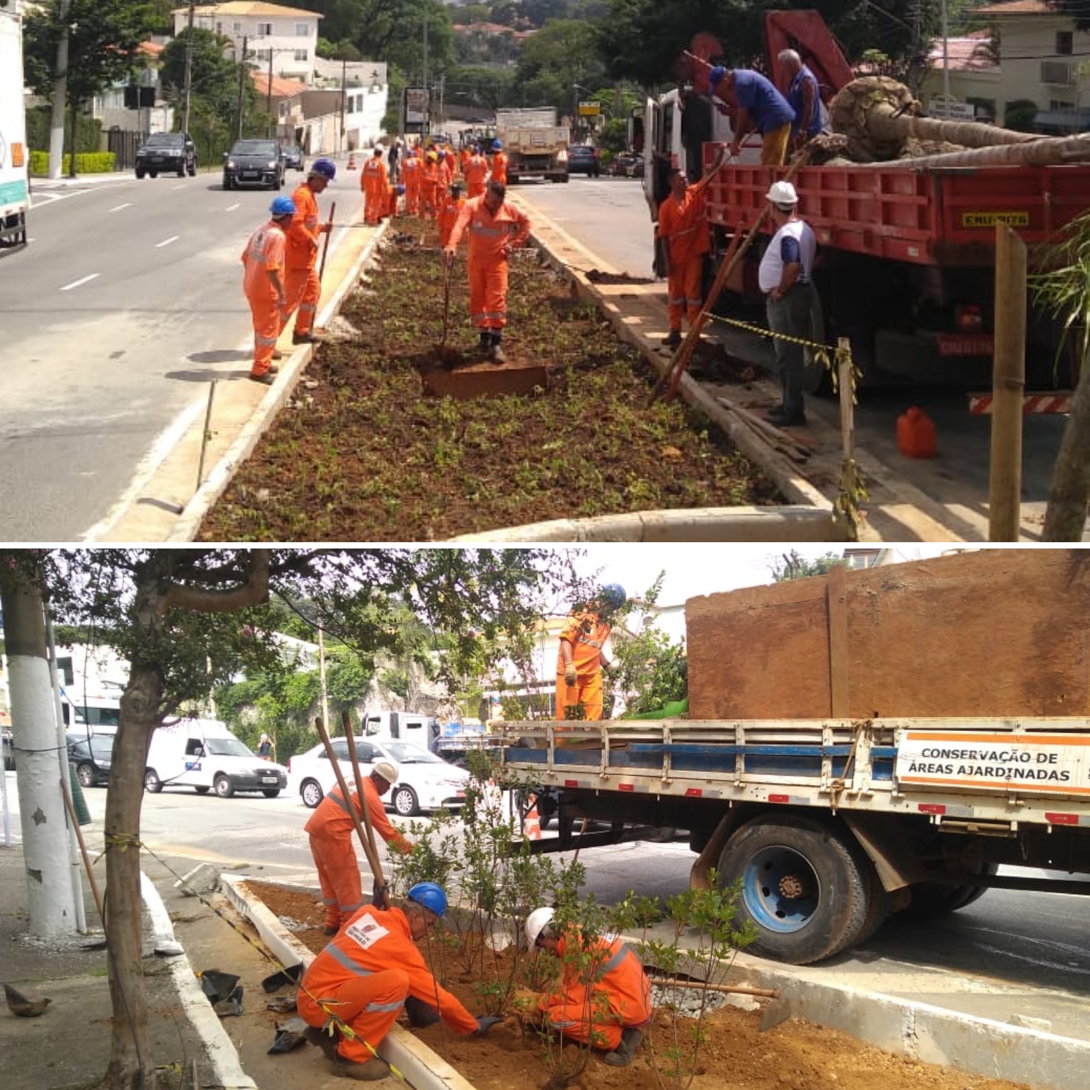 Fotos dos funcionários plantando na rua major natanael
