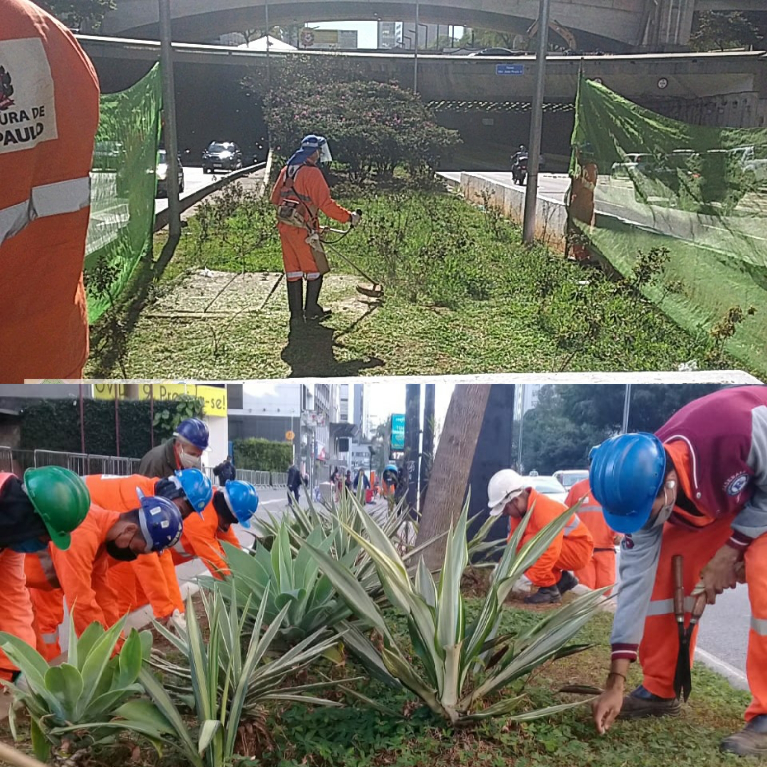 Montagem de duas fotos mostra os serviços de corte de grama e manutenção de áreas verdes