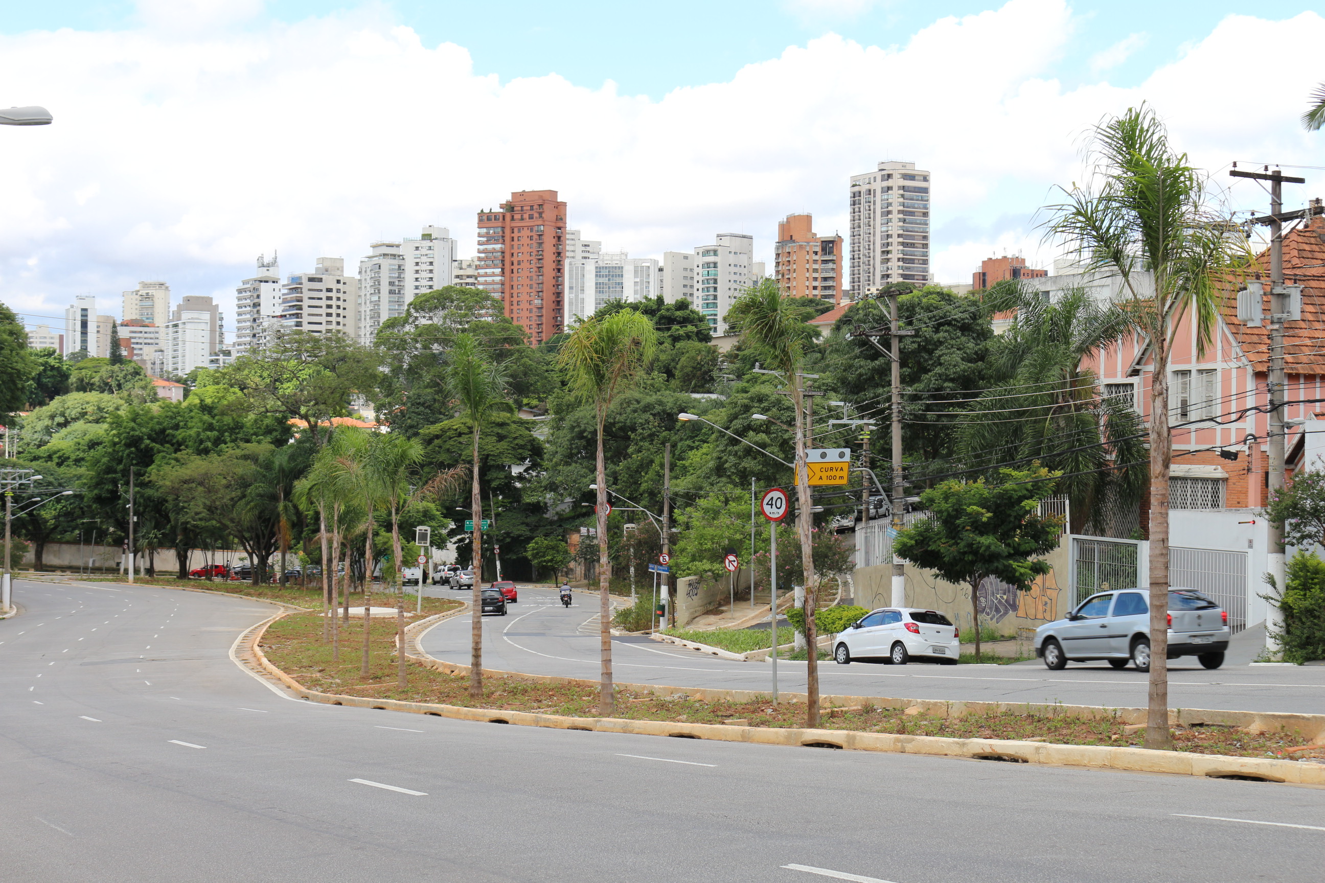 Foto das árvores plantadas ao longo do jardim 