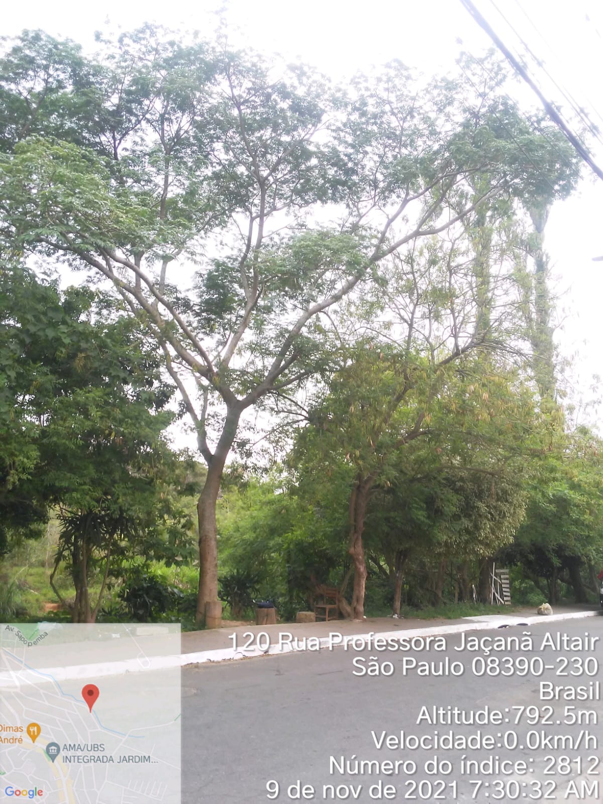 Uma fileira de árvores à beira de uma caçada. Foto identificada como rua Professora Jaçanã Altair, 120.