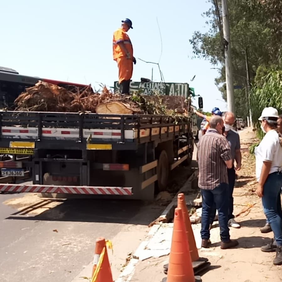 Caminhão com troncos de um eucalipto colocado na carroceria de madeira está parado à beira de um barranco. 