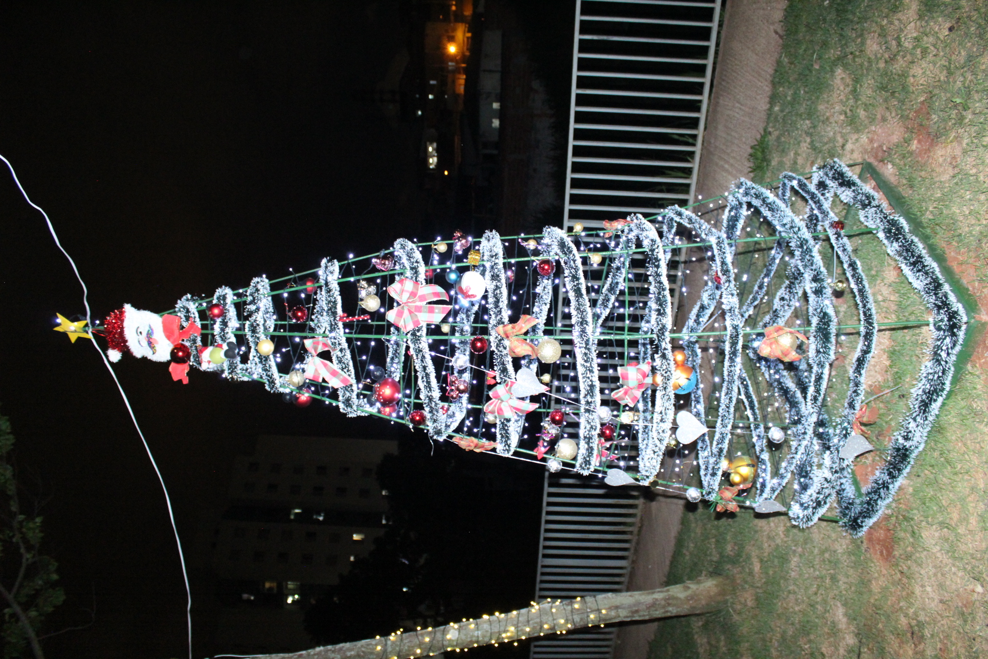 #ParaTodosVerem foto da árvore de natal iluminada na praça