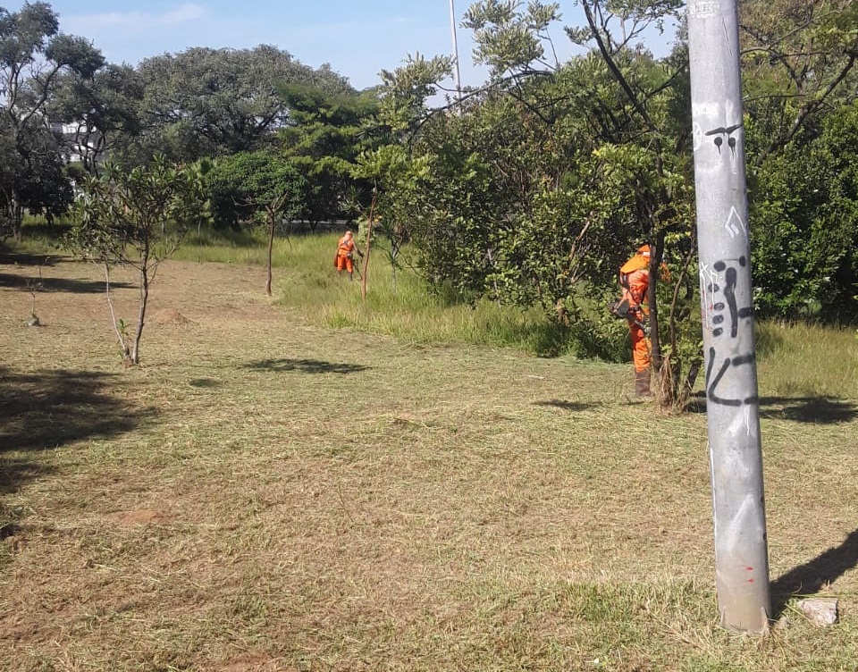 A imagem mostra uma praça com a grama recém cortada. Ao fundo há dois funcionários da Subprefeitura realizando o serviço de corte e coleta de grama, além de árvores e um poste de luz.