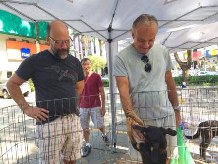 Foto de dois homens na feira de adoção olhando para um cachorro, sem raça e de pelo escuro e marrom nas patas. Um desses homens está acariciando o animal, o animal responde colocando suas patas dianteiras na mão da pessoa. Ao fundo outro homem observa a cena entre animal e homem.