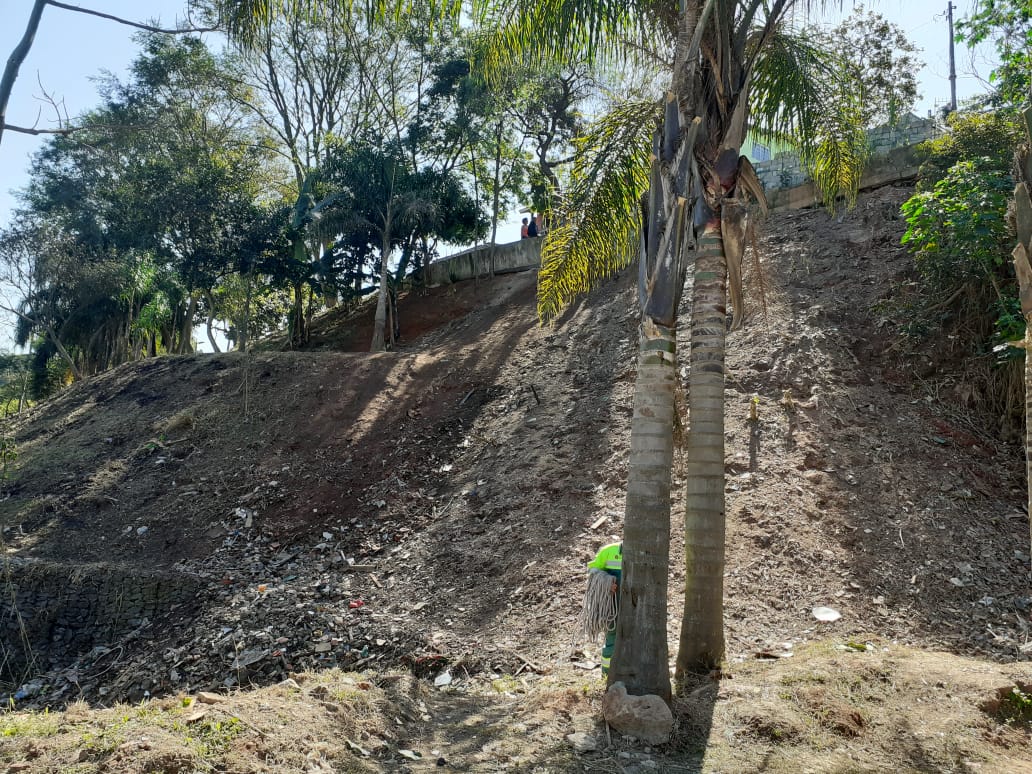 Foto do talude limpo sem mais nenhum resquício de lixo. Após, realizado o serviço o talude está bonito e as árvores que estão no espaço embelezam o talude mais uma vez. Ainda temos um funcionário trabalhando, ele está atrás de uma árvore recolhendo apenas folhas secas. 