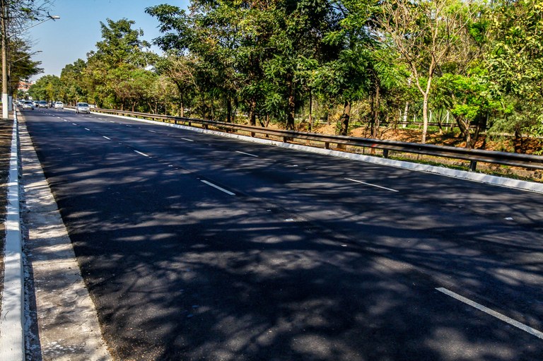 A foto retrata um trecho da Avenida Escola Politécnica com destaque para o asfalto. A imagem apresenta grande grau de profundidade, sendo que a avenida afunila da direita para a esquerda. O asfalto apresenta coloração cinza, com manchas mais escuras formadas pela sombra das árvores, e há duas linhas paralelas brancas tracejadas que indicam a divisão da pista em três faixas. Na lateral direita, do ponto de vista do observador, encontram-se árvores enfileiradas que seguem por toda a borda da rua. Entre as árvores e o asfalto observa-se uma proteção metálica não muito alta posicionada em cima da guia, que por sua vez foi pintada de branco. Já no lado esquerdo, também é possível ver a guia de mesmo tom, além de um poste no canto superior. Ao fundo há carros dirigindo-se ao encontro do espectador. O céu, que aparece no canto superior esquerdo, é azul, claro e sem nuvens. 