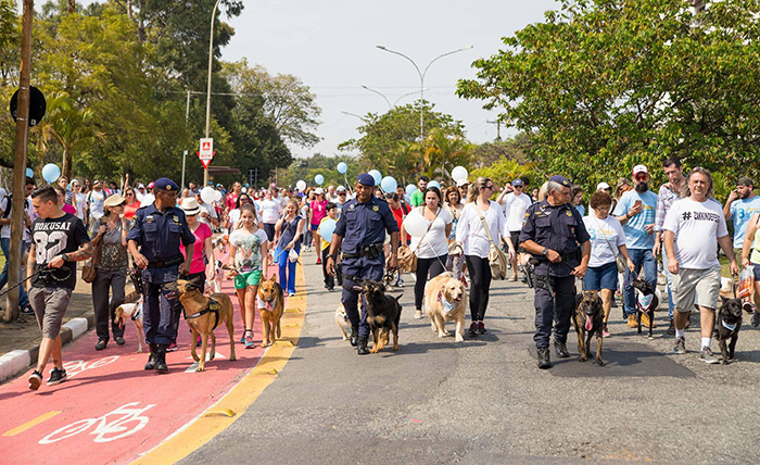 Imagem mostra várias pessoas com seus cachorros caminhando pela rua